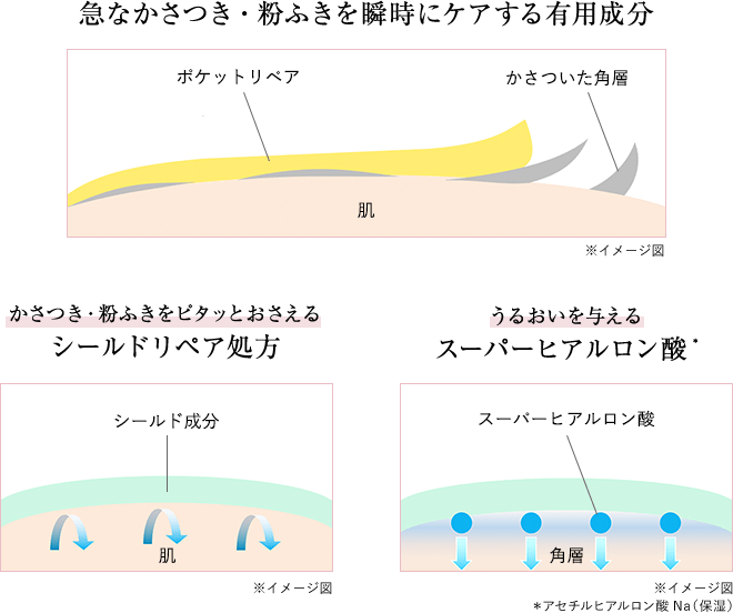 急なかさつき・粉ふきを瞬時にケアする有用成分 かさつき・粉ふきをピタッとおさえるシールドリペア処方 うるおいを与える スーパーヒアルロン酸*