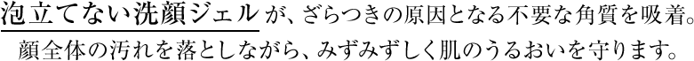 泡立てない洗顔ジェルが、ざらつきの原因となる不要な角質を吸着。顔全体の汚れを落としながら、みずみずしく肌のうるおいを守ります。