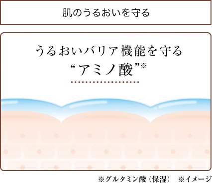 肌のうるおいを守る：うるおいバリア機能を守るアミノ酸※　※グルタミン酸（保湿）　※イメージ