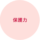 保護力