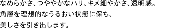 なめらかさ、つややかなハリ、キメ細やかさ、透明感。角層を理想的なうるおい状態に保ち、美しさを引き出します。