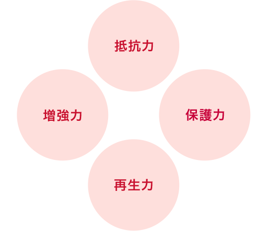 抵抗力 保護力 再生力 増強力