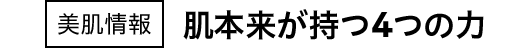 美肌情報 肌本来が持つ4つの力