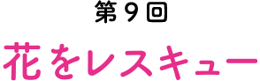 第9回 花をレスキュー