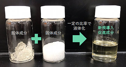 個体成分＋固体成分＝新規導入促進成分 一定の比率で液体化