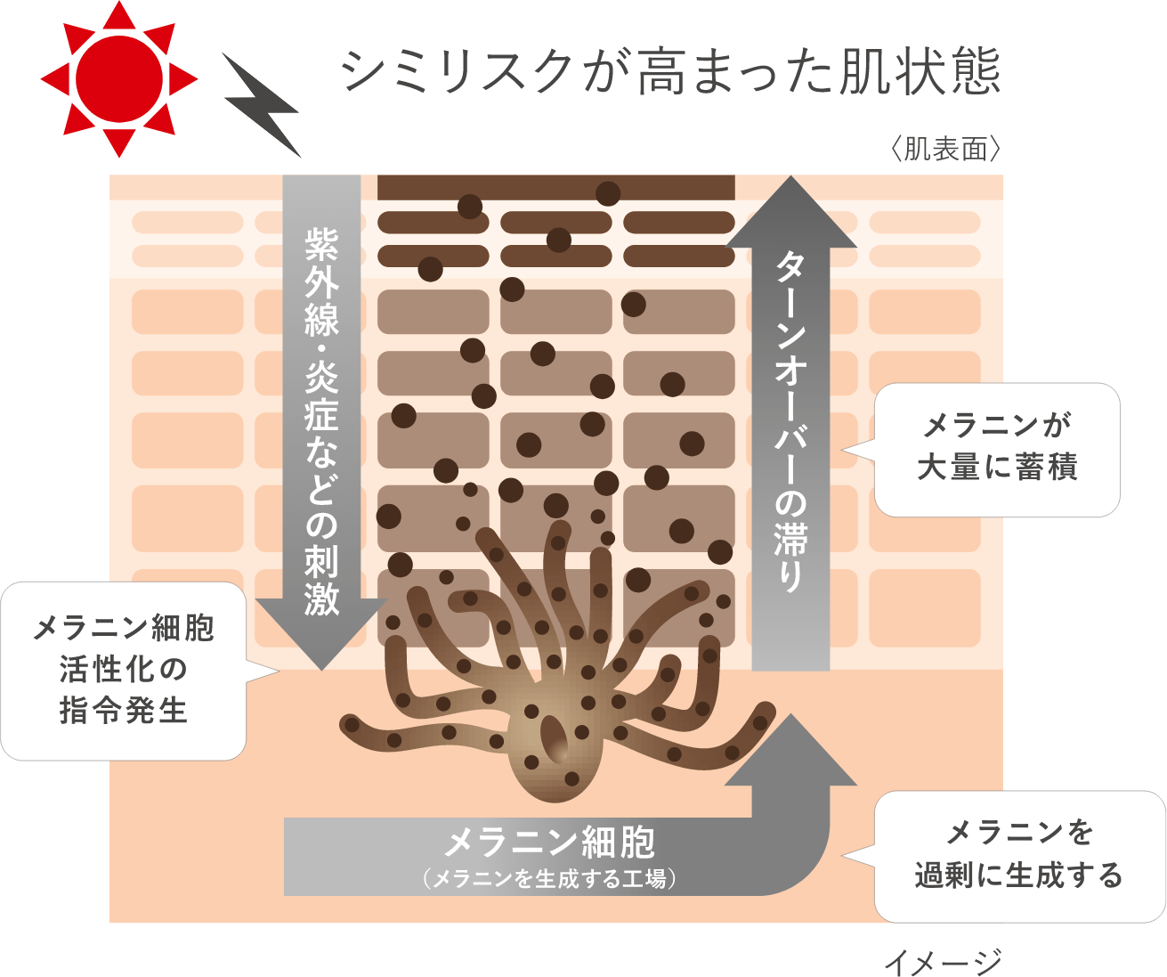 イラスト：シミリスクが高まった肌状態