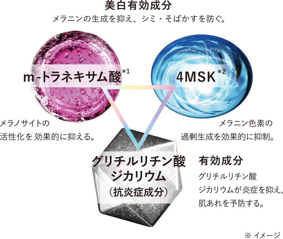 数量限定*1
薬用 美白美容液と薬用 日中美白美容液UVのミニサイズ付き
お得なレフィル限定セット