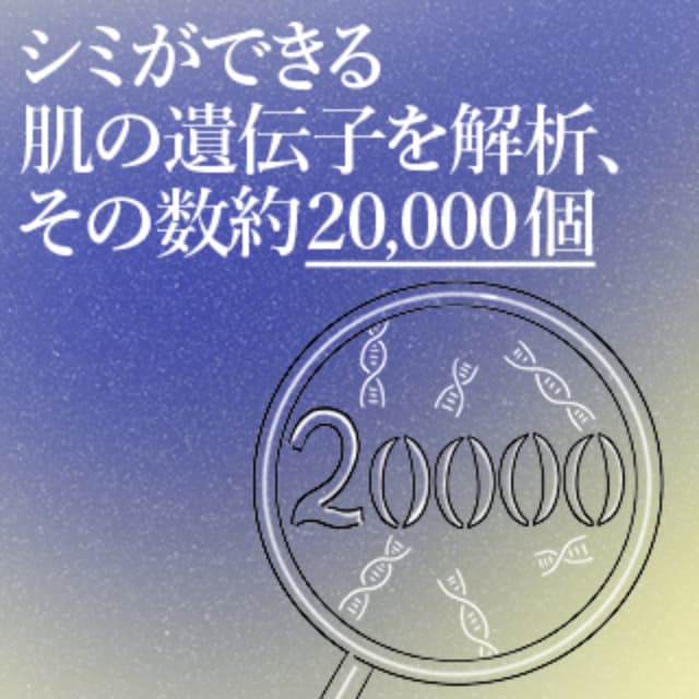 #やっぱり答えはＨＡＫＵ