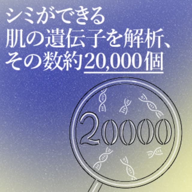 シミができる肌の遺伝子を解析、その数約20,000個。