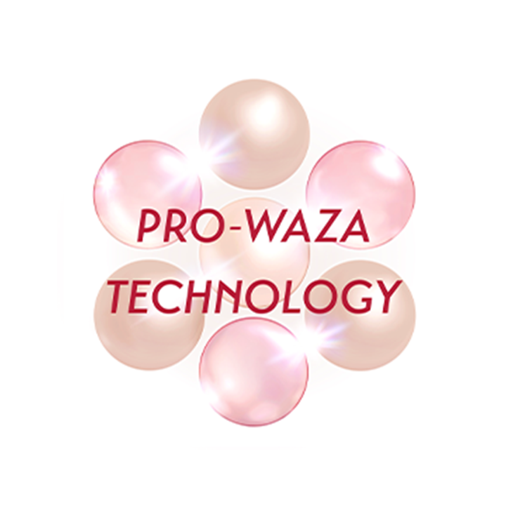 PRO WAZA TECHNOLOGY