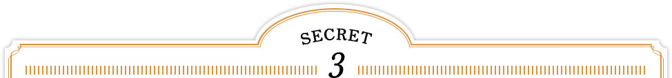 SECRET 3