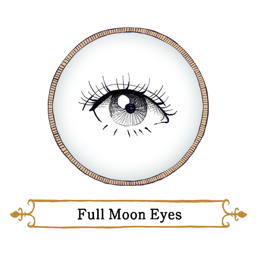 マジョリカ マジョルカ Eyelash Drawer 資生堂