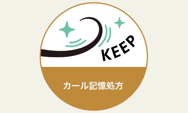 カール記憶処方