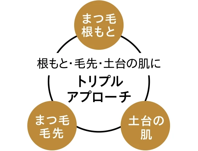 根本・毛先・土台の肌にトリプルアプローチ