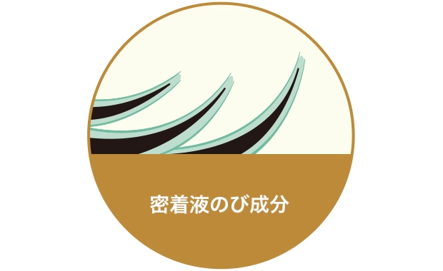 密着液のび成分