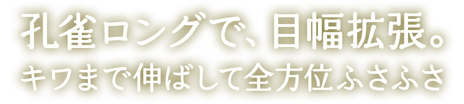 孔雀ロングで、目幅拡張。キワまで伸ばして全方位ふさふさ。