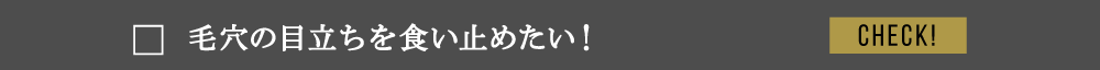 毛穴の目立ちを食い止めたい！