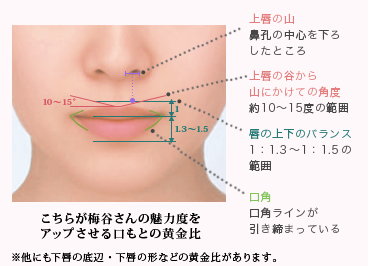 理想の唇はこうして作る メイク法からプチ整形まで完全網羅 Call To Beauty 理想の唇はこうして作る メイク法からプチ整形まで完全網羅 Call To Beauty
