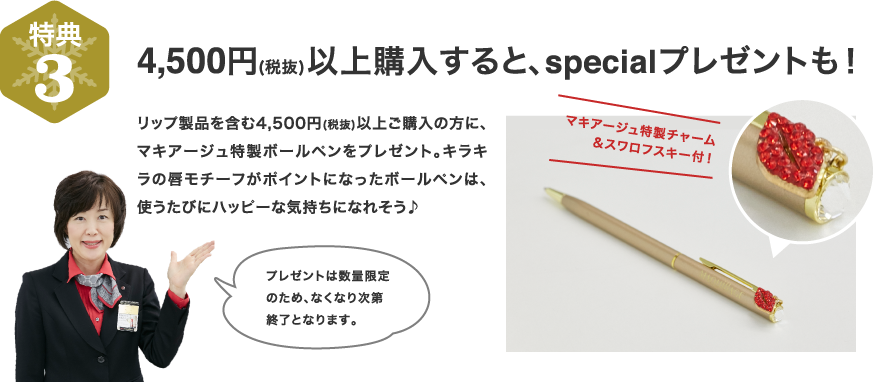 特典3　4,500円(税抜)以上購入すると、specialプレゼントも！
