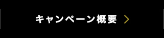 キャンペーン概要