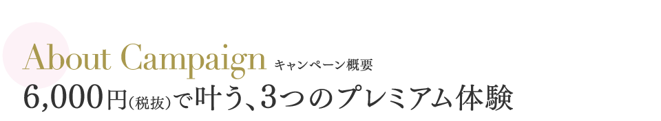 About Campaign キャンペーン概要 6,000円（税抜）で叶う、3つのプレミアム体験