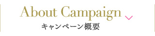 About Campaign キャンペーン概要