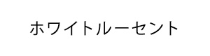 資生堂 ホワイトルーセント