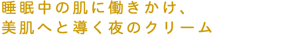 睡眠中の肌に働きかけ、美肌へと導く夜のクリーム