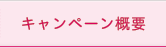 キャンペーン概要