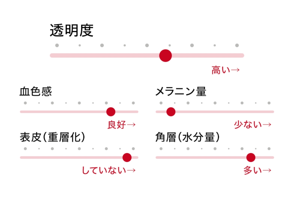 店頭肌チェック スキンビジオム 資生堂