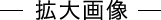 拡大画像