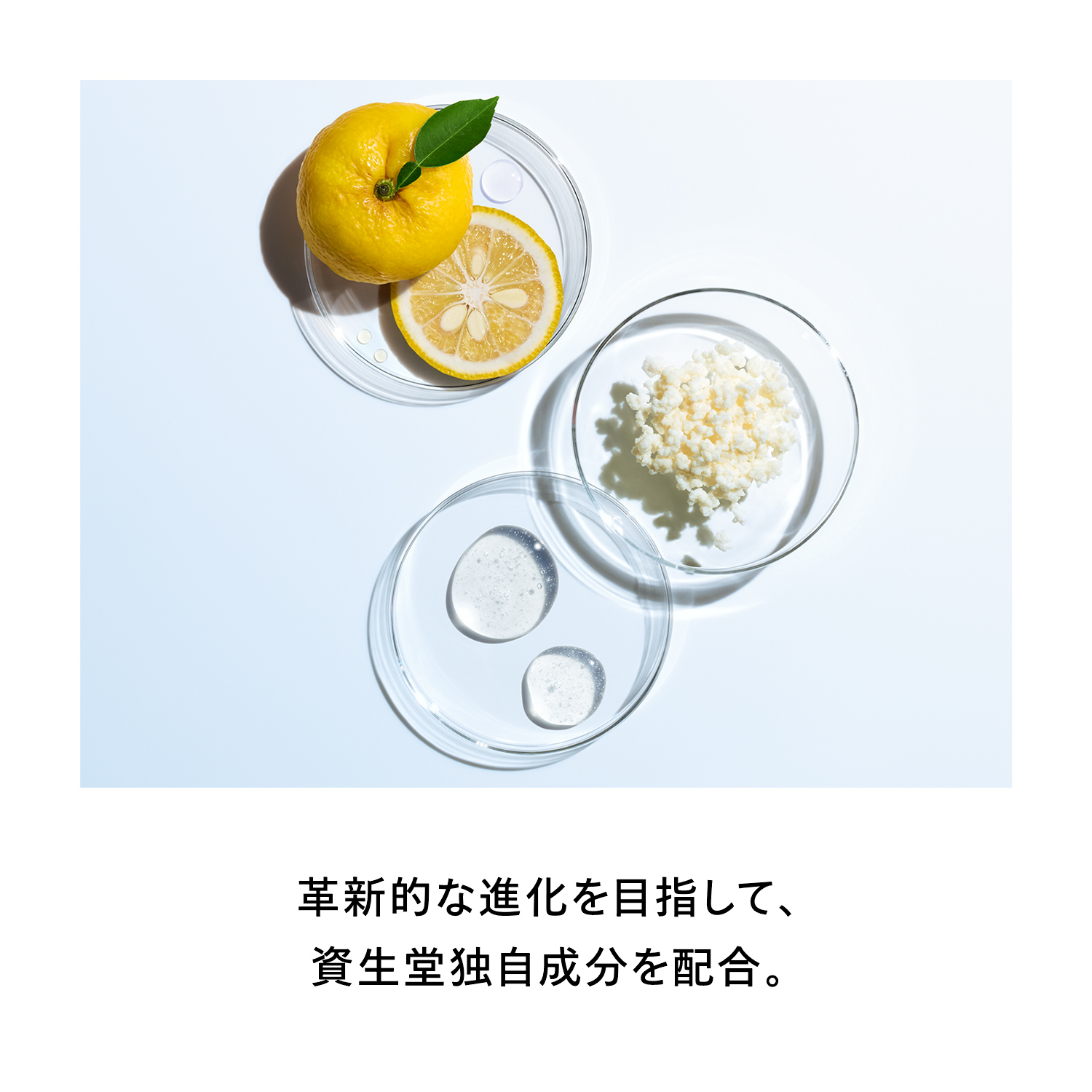 Amazon | SHISEIDO オイデルミン エッセンスローション 145mL