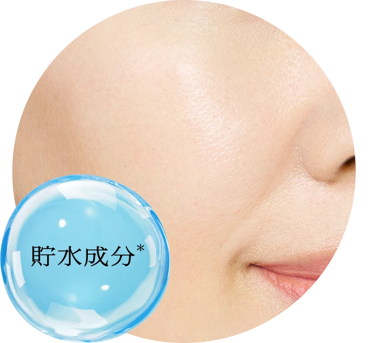 貯水成分＊