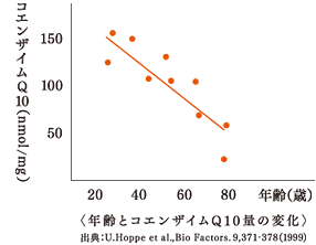 年齢とコエンザイムQ10量の変化