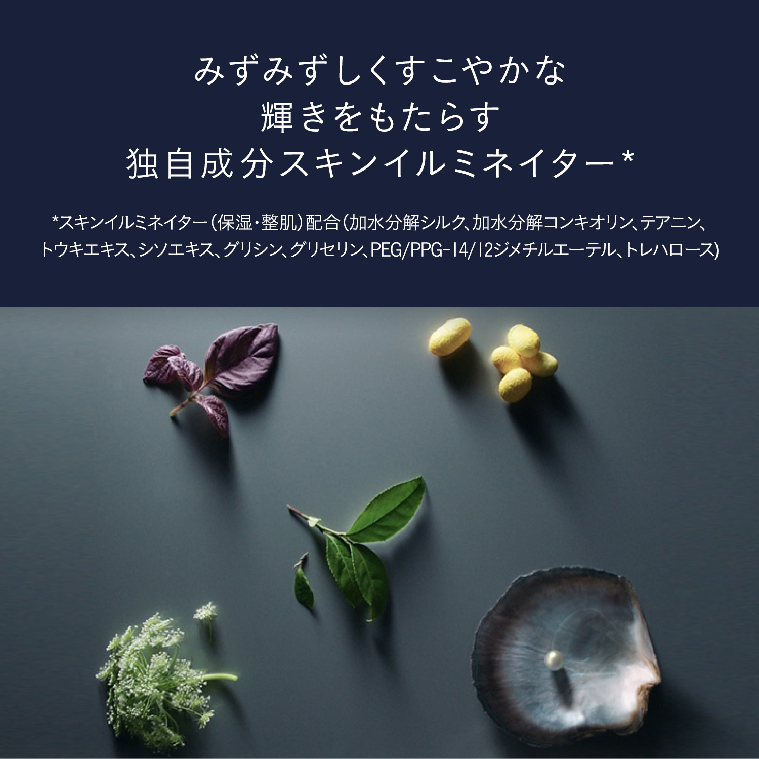 クレームアンタンシヴnの商品情報・化粧品の通販 | Omise+