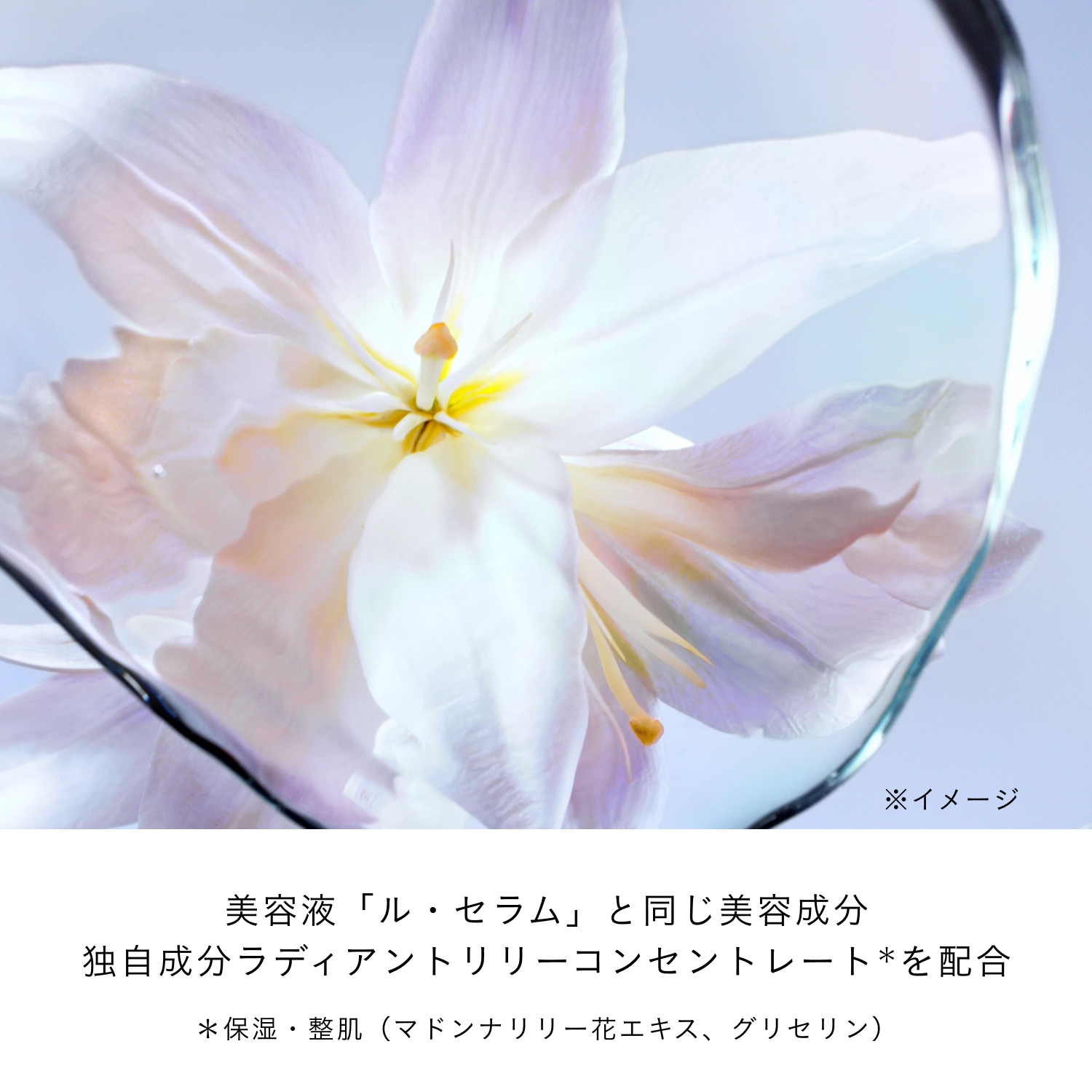 アンベリスールデクラの商品情報・化粧品の通販 | Omise+／supported