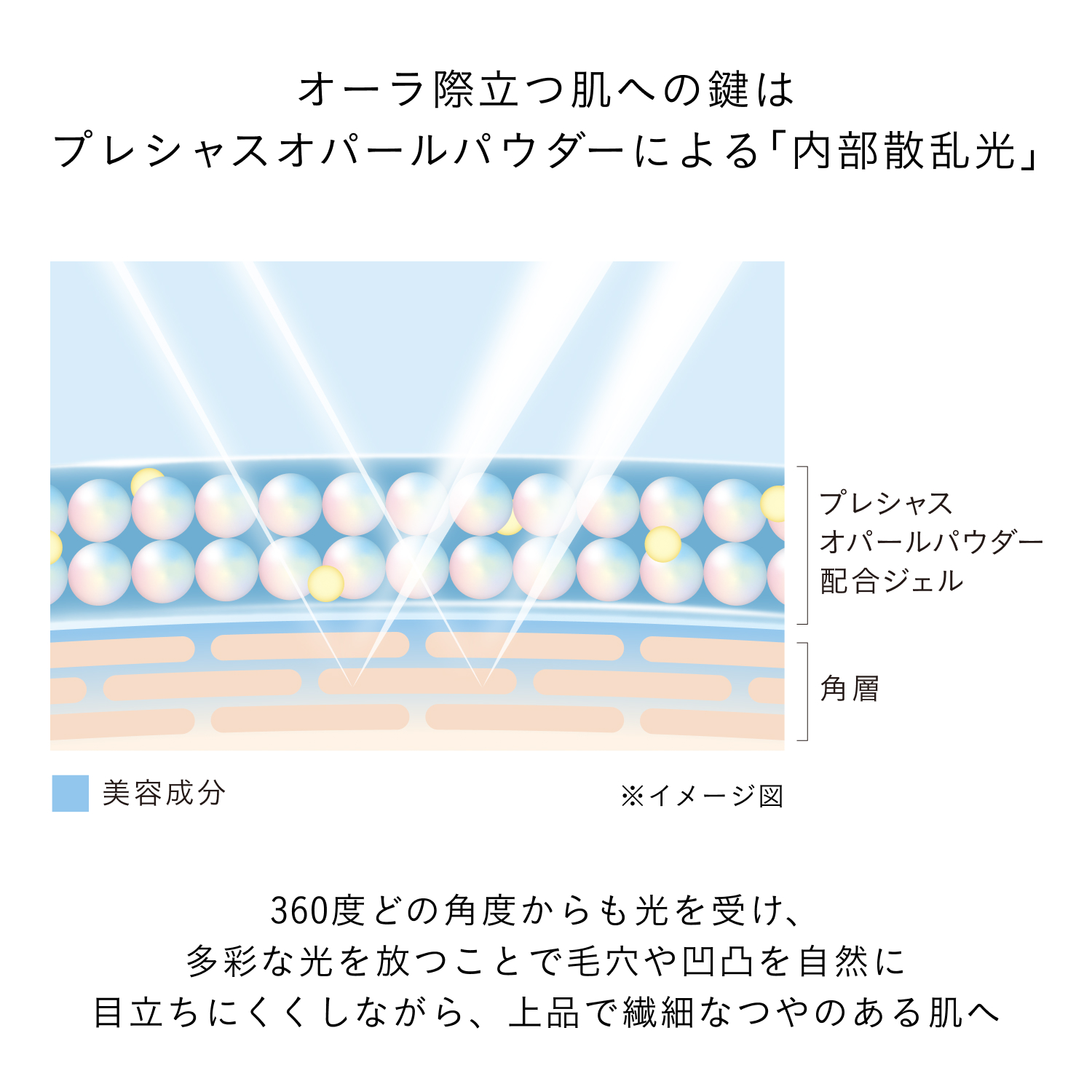 アンベリスールデクラの商品情報・化粧品の通販 | Omise+／supported