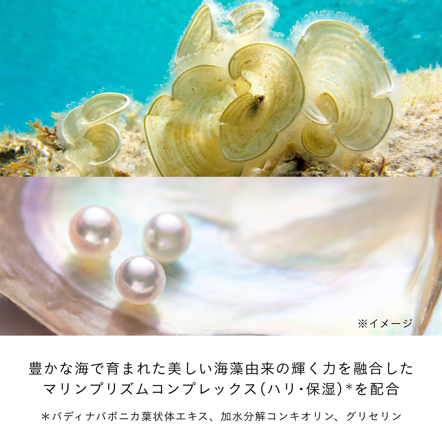 アンベリスールデクラの商品情報・化粧品の通販 | Omise+／supported