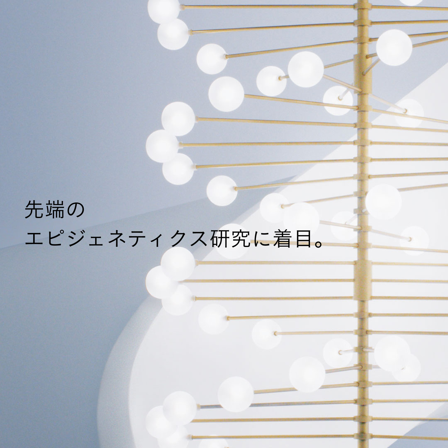 ソワンマスクエクラS Ⅱの商品情報・化粧品の通販 | Omise+