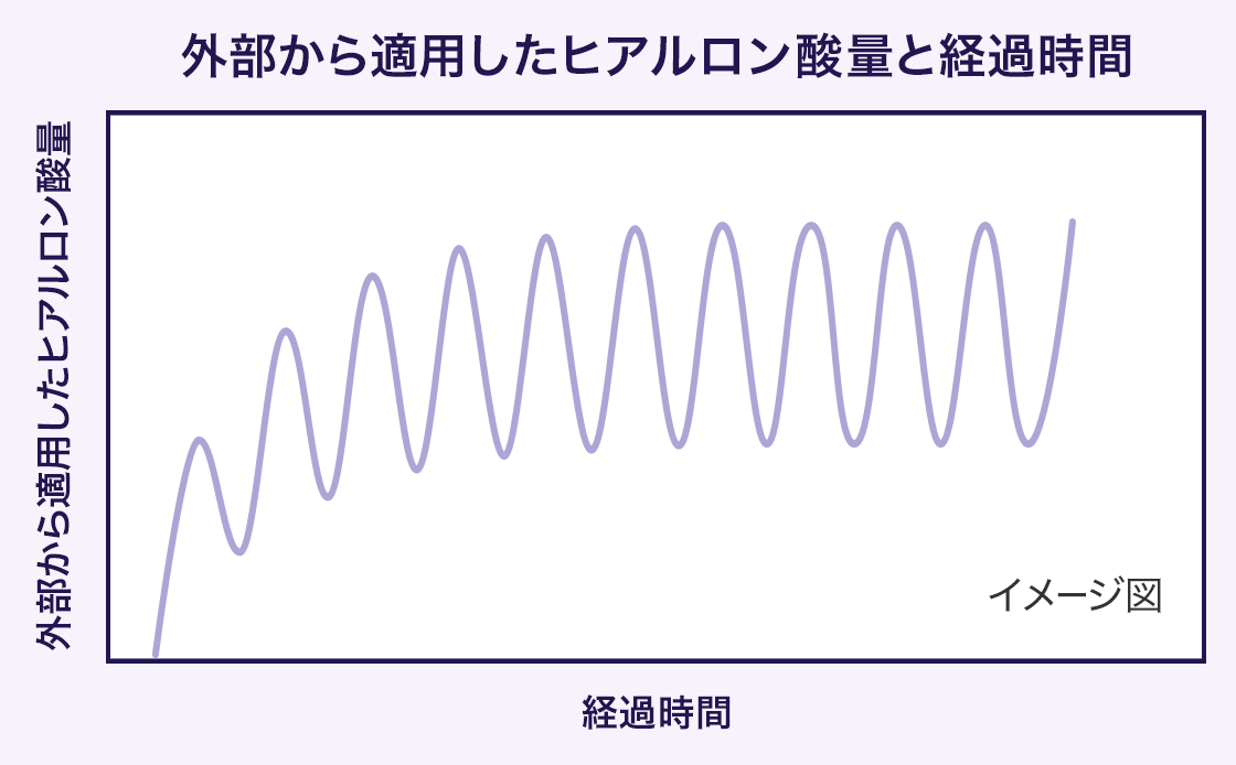 外部から適用したヒアルロン酸量と経過時間
