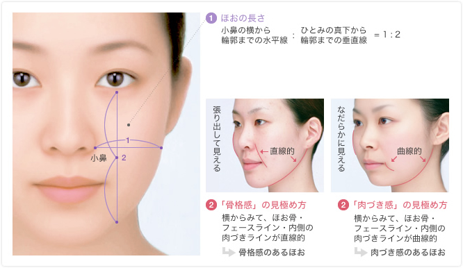 ほおのゴールデンバランス理論