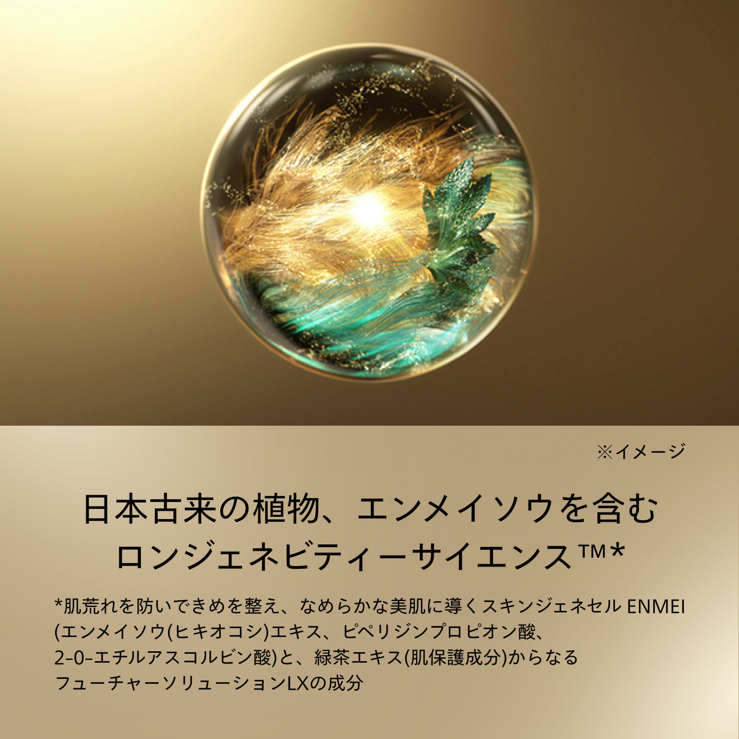 SHISEIDO フューチャーソリューション LX｜トータル Rクリーム ソフト