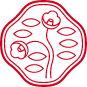 SHISEIDO