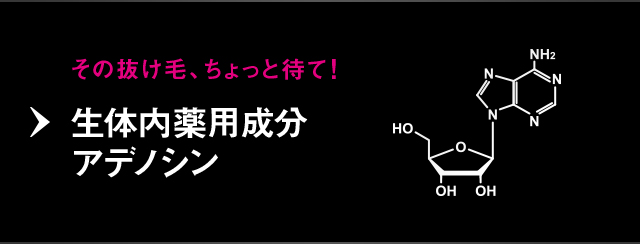 その抜け毛、ちょっと待て！生体内薬用成分 アデノシン