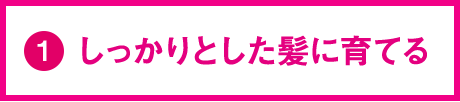 しっかりとした髪に育てる