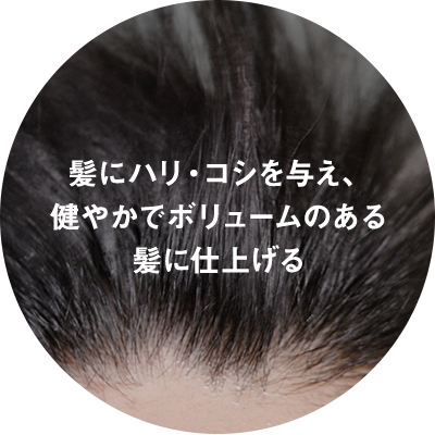 髪にハリ・コシを与え、健やかでボリュームのある髪に仕上げる