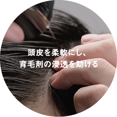 頭皮を柔軟にし、育毛剤の浸透を助ける