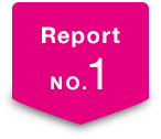 Report No.1