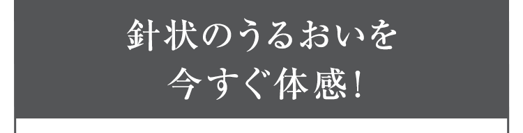 針状のうるおいを今すぐ体感！