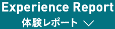 体験レポート